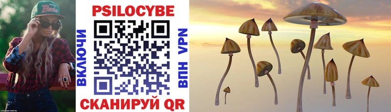 Псилоцибиновые грибы прущие грибы  Купить  Александровск-Сахалинский 